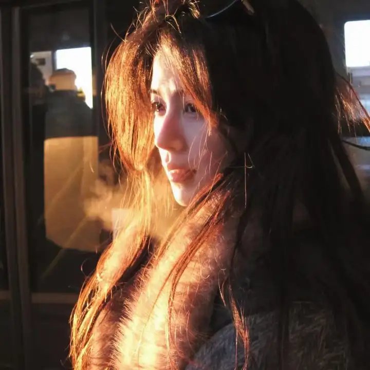 妖狐苏妲己